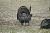 DSC_0095.JPG