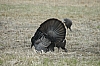 DSC_0096.JPG