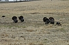 DSC_0103.JPG
