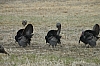 DSC_0112.JPG