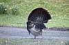 DSC_0113.JPG