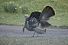 DSC_0114.JPG