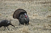 DSC_0119.JPG