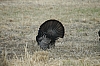 DSC_0121.JPG