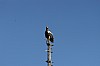 DSC_0123.jpg