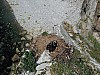 DJI_0517.jpg