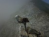 DJI_0540.jpg