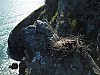 DJI_0568.jpg