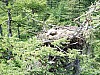 DJI_0638.jpg
