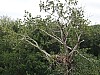 DJI_0652.jpg