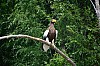 DSC_0116.jpg