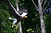 DSC_0119.jpg
