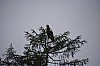 DSC_0178.jpg