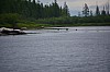 DSC_0183.jpg