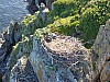DJI_0023.jpg