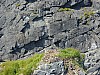 DJI_0082.jpg