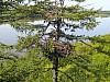 DJI_0091.jpg