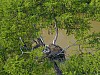 DJI_0097.jpg