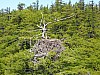 DJI_0117 (2).jpg