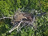 DJI_0134.jpg
