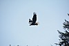 DSC_0046.jpg