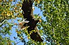 DSC_0130.jpg