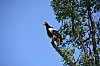 DSC_0160.jpg