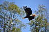 DSC_0195.jpg
