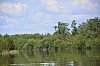 DSC_0197.jpg
