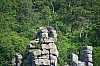 DSC_0232.jpg