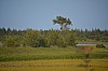DSC_0265.jpg