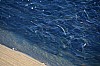 DSC_0269.jpg