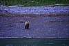 DSC_0308.jpg