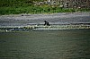 DSC_0313.jpg