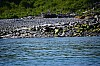 DSC_0353.jpg