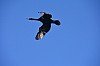 DSC_0496.jpg