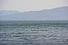 DSC_0688.jpg