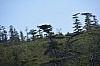DSC_0693.jpg