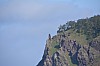 DSC_0697.jpg