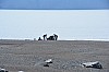 DSC_0715.jpg