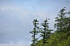 DSC_0717.jpg