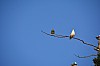 DSC_0747.jpg
