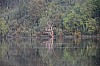 DSC_0941.jpg