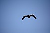 DSC_0962.jpg