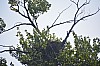 DSC_0977.jpg