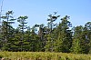 DSC_1004.jpg