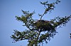 DSC_1005.jpg