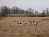 DSC05920.jpg