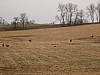 DSC05921.jpg