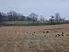 DSC05924.jpg